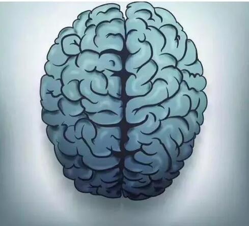 这次就来科普一下寄生虫吧一起看看那些专吃脑子的虫子