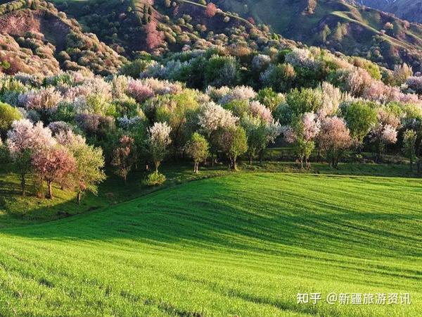 吐尔根杏花沟,大西沟福寿山双卧三晚二日游