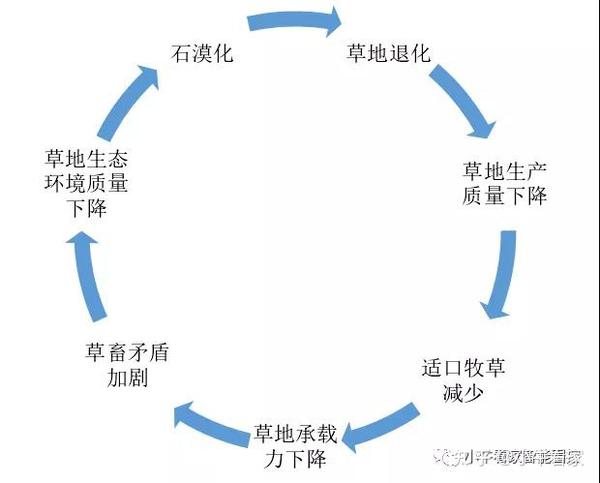 浅谈喀斯特石漠化退化草地改良