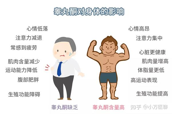 男女性都可以受益的——荷尔蒙疗法 (hormone therapy