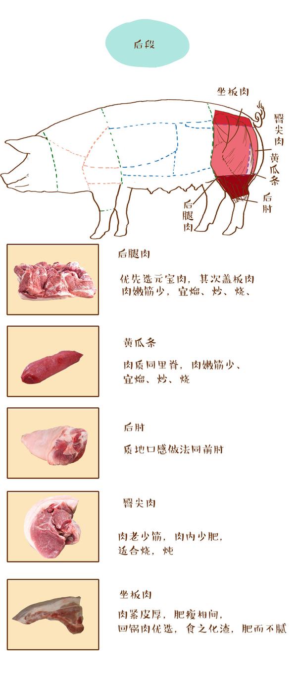 猪哪个部位的肉最好吃?