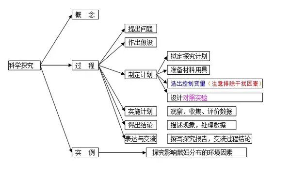 中考生物初中生物思维导图67