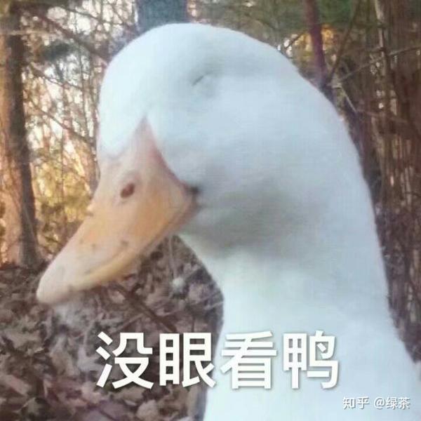 这种小鸭子表情包在哪里找