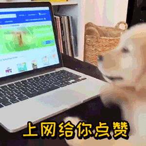 夸某人厉害的表情包gif:这也太厉害了,不愧是我的狗