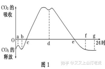 光合作用和呼吸作用的相关曲线图归纳总结