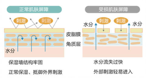 q:哪些因素会导致皮肤屏障受损?