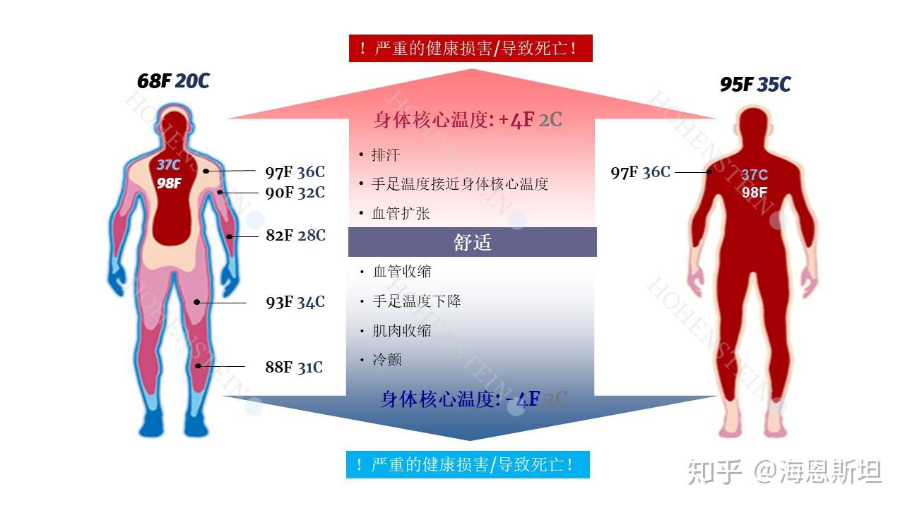 穿着舒适度的影响因素