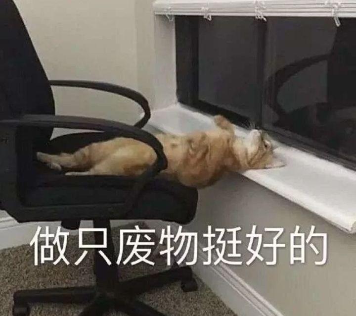 表情 这也是我后面不肯放弃的动力之一  别问问就是女生奇奇怪怪的点