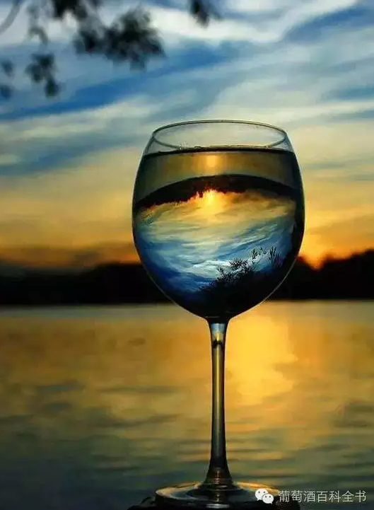 光影:酒杯里的美景