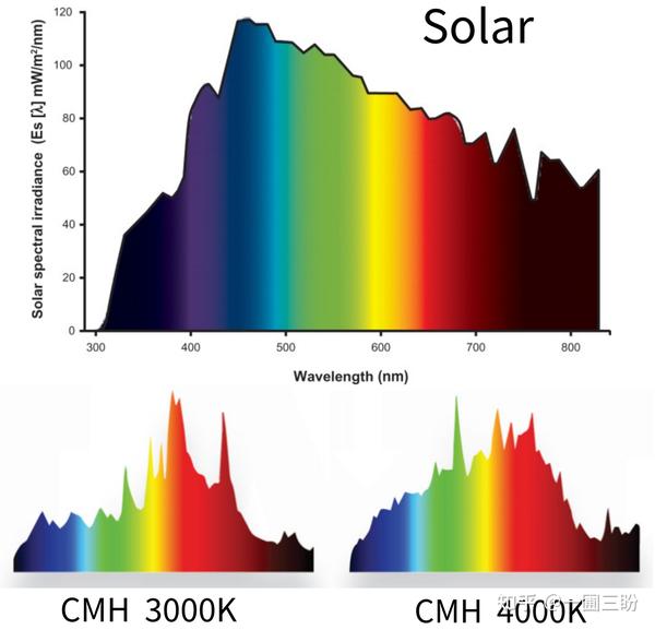 实际上 陶瓷金卤灯的光谱才更接近太阳光的光谱,如下图所示,这一章就