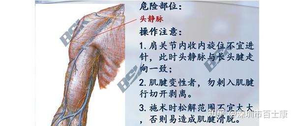 4.肱骨大结节