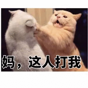 你见到过哪些笑到不行表情包?
