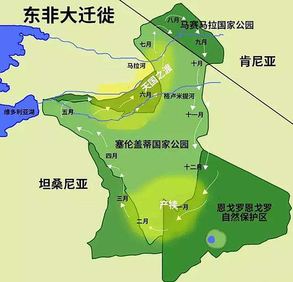 追逐角马迁徙的足迹——非洲的肯尼亚之旅