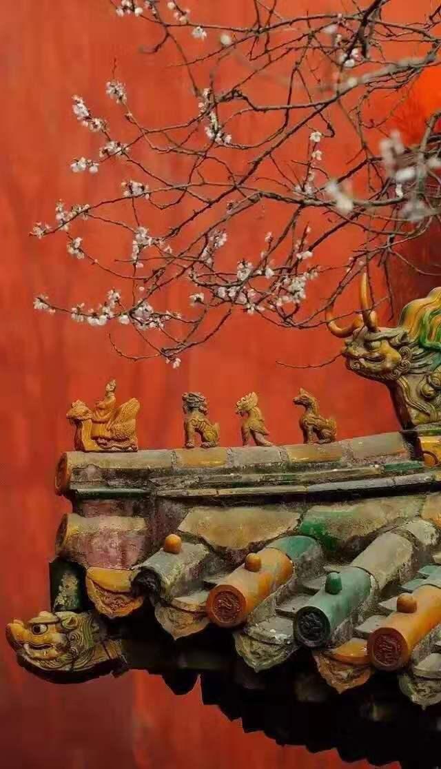那些历经风雨而屹立的中国传统建筑总是独特而迷人的