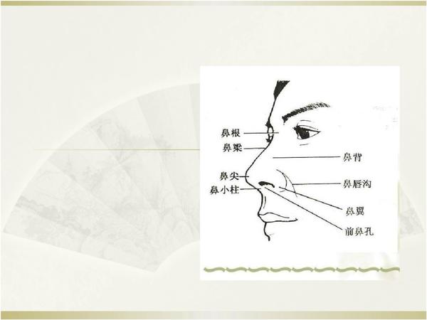 鞍鼻整形,一个让人羡慕的鼻子