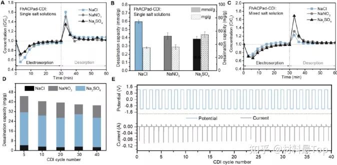 fungal hypha-derived freestanding porous