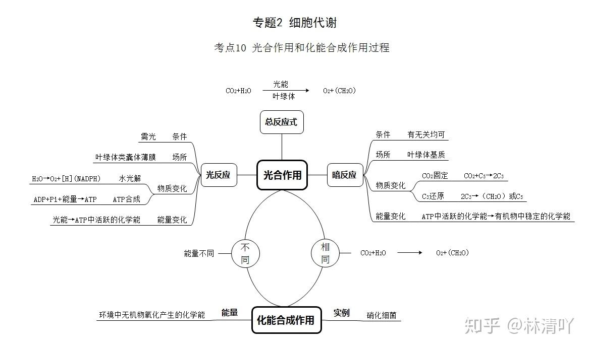 超全75页高中生物思维导图考点版另附制作方法