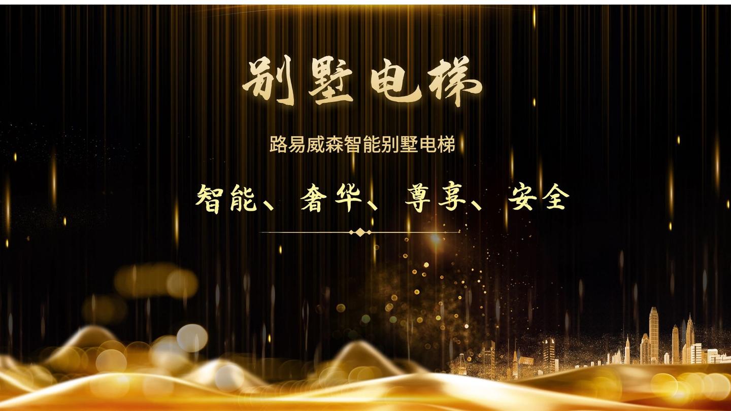 路易威森智能别墅电梯