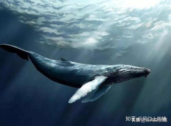 《突然好想大哭一场》 :没有在深夜痛苦过,都不足以谈