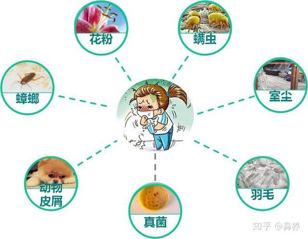 过敏性鼻炎怎么办