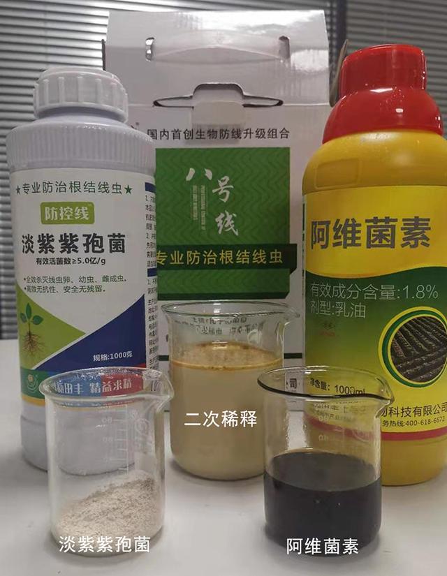苹果根结线虫有什么特效药?八号线