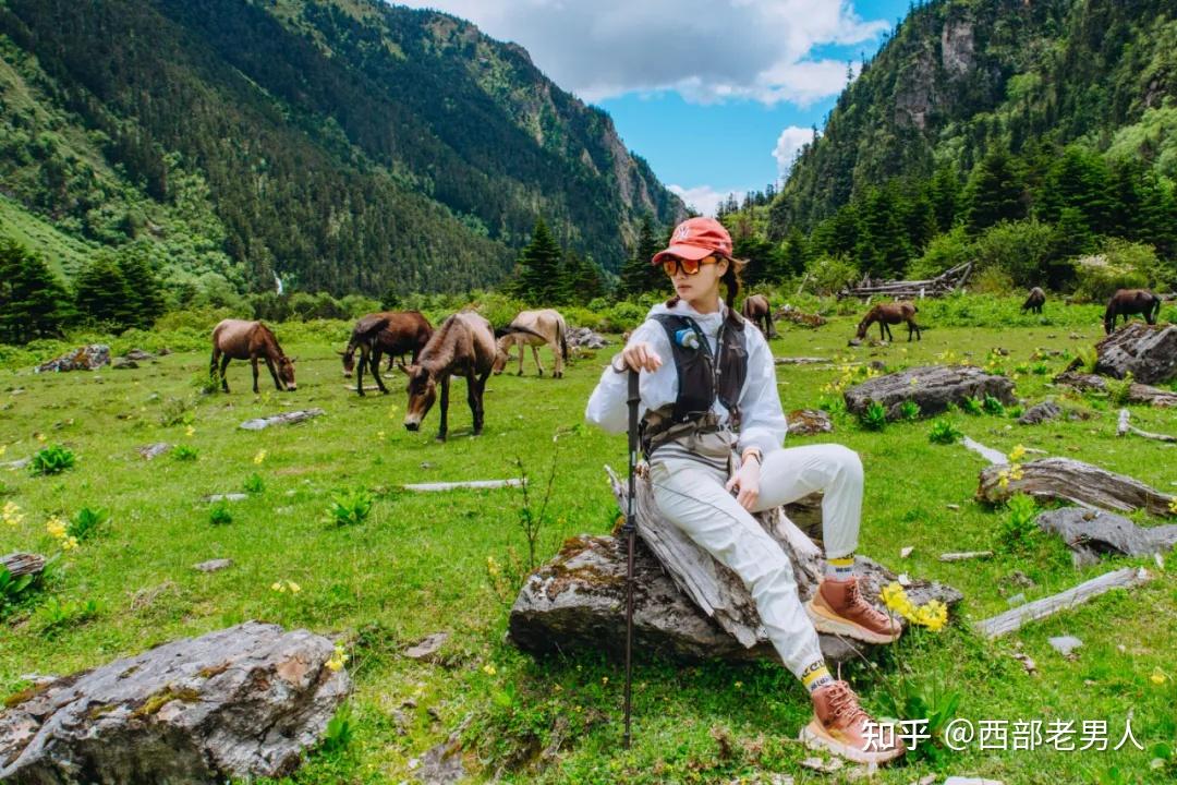 日照金山,原始森林,田园牧歌,你想得到或是想不到的风景,都在雨崩!