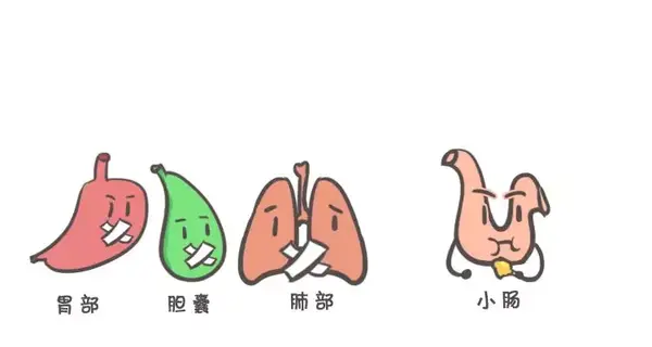 揭露人体排毒时间表的真相睡觉真的可以排毒吗百科