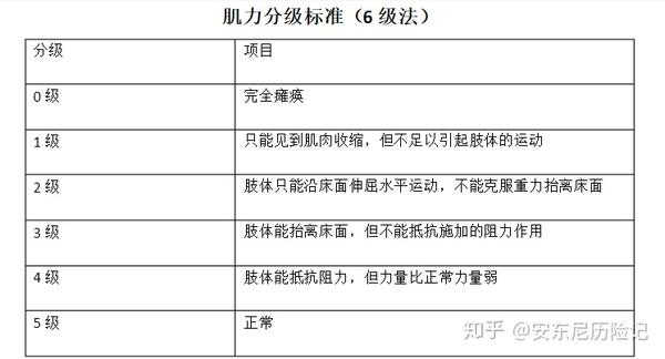 那么肌力的分级是怎样的.