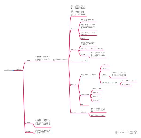 肺炎链球菌肺炎思维导图