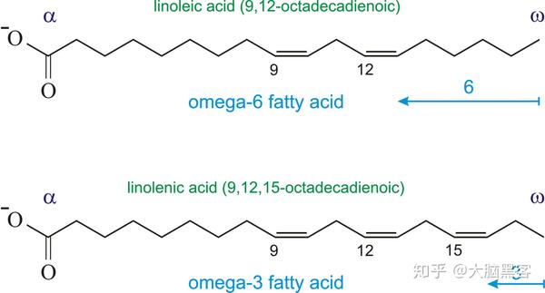 我爱脂肪2:关键是要挑好的吃 - 先说不饱和脂肪omega-3和omega-6这两