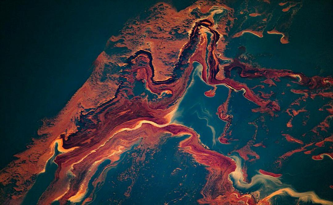 石油污染对海洋带来的巨大危害