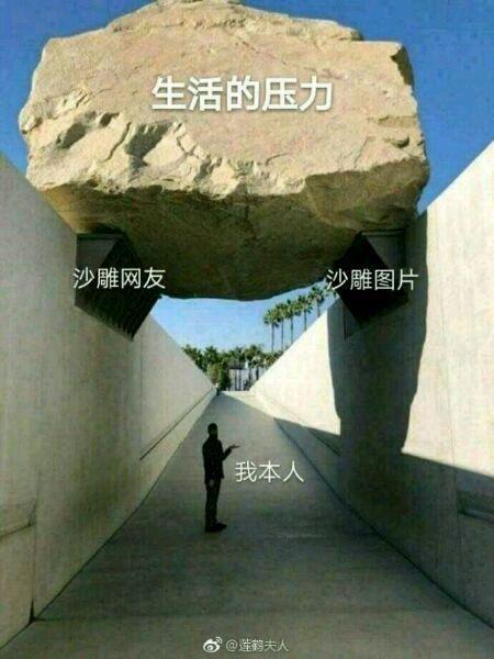 因为它帮我顶住了一半的生活压力啊
