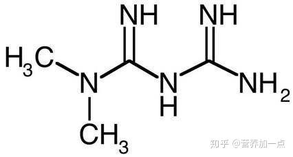 抗衰老研究——带你走进"神药"二甲双胍