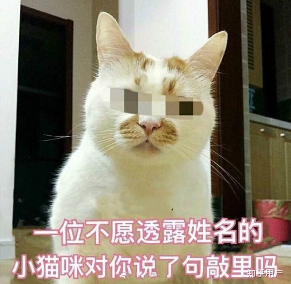 你听过最离谱的出轨原因是什么?