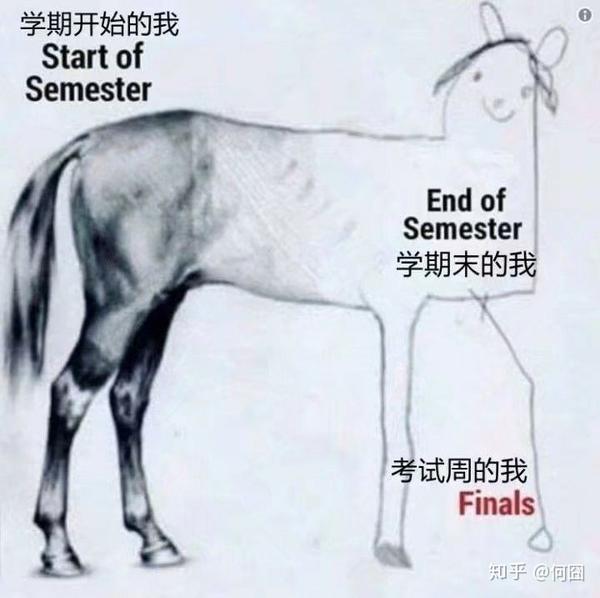 身为大学生你有什么期末复习必杀绝技