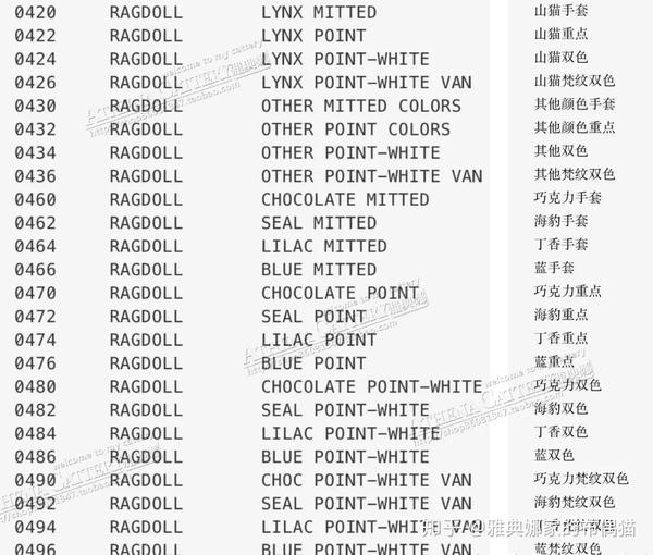 解读布偶猫的cfa和tica血统证书,辨别证书真伪