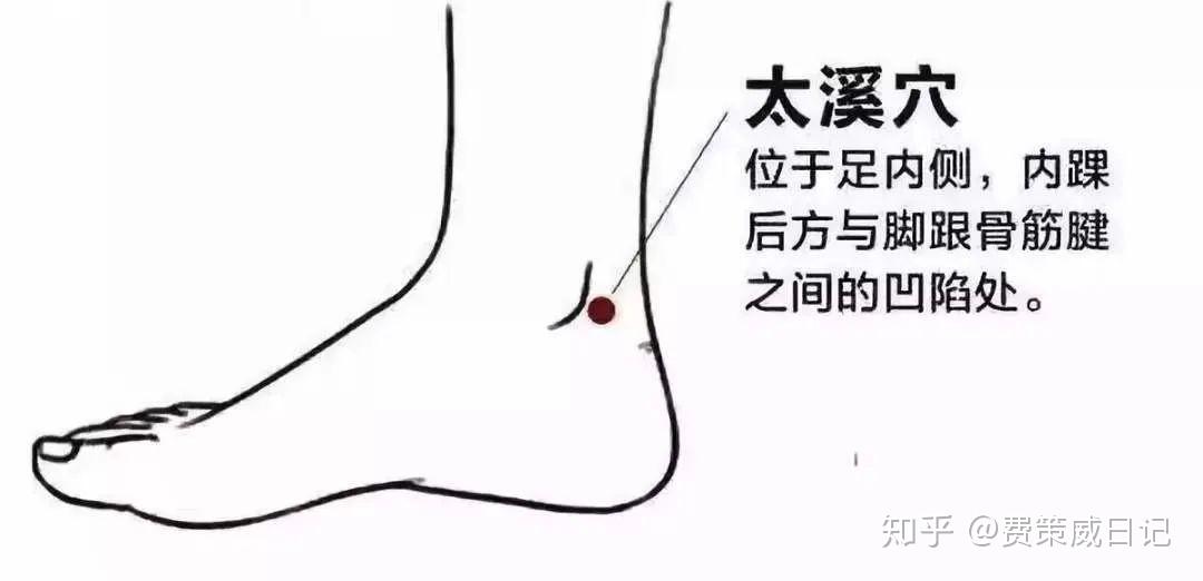 太溪穴定位:位于足内侧,内踝后方,内踝尖与跟腱之间的凹陷处