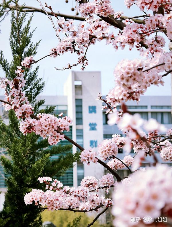 在中国石油大学(华东)就读是怎样一番体验?