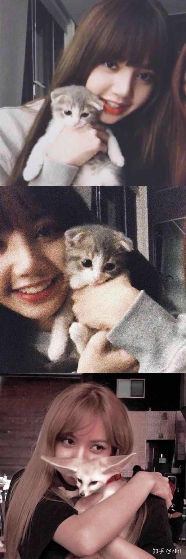 有想进lisa粉丝群的吗