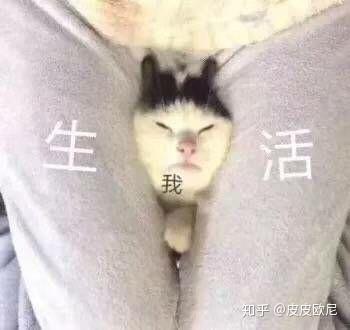 再来 生活太苦系列