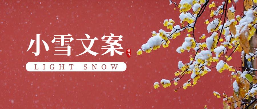 小雪节气哪些文案能寒冬升温