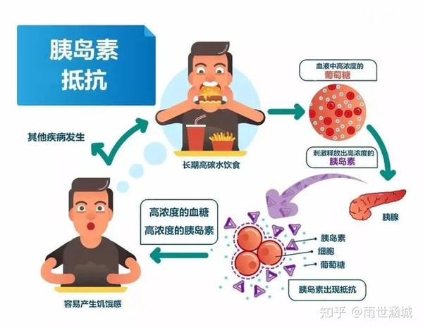 同时,因为血糖过高,机体分泌了大量的胰岛素,胰岛素会将血糖转换成