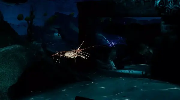 leviathan legacy, cray fish  图片由泰勒画廊提供