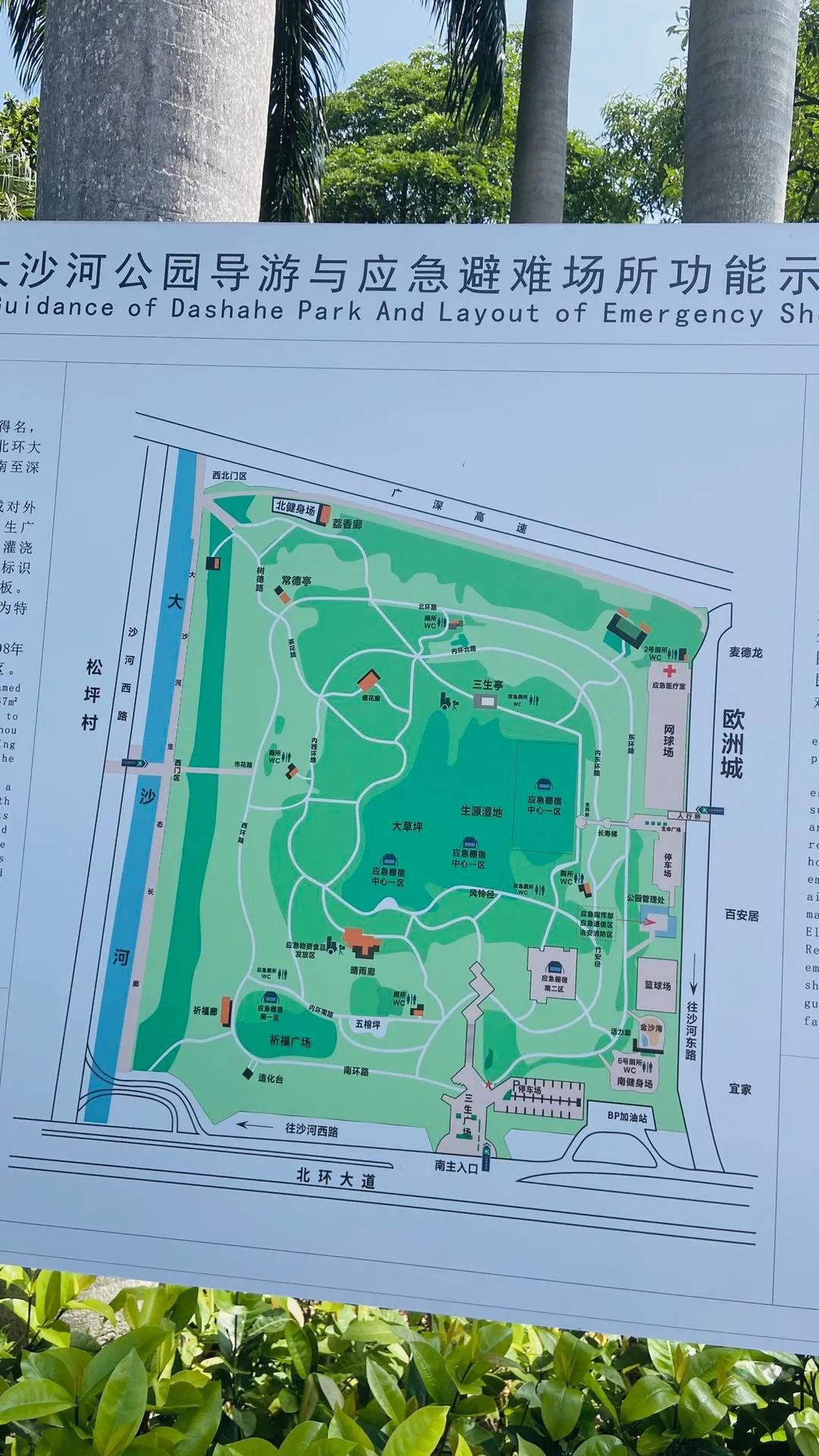 深圳最大公园-大沙河公园,周末节假日徒步游玩攻略
