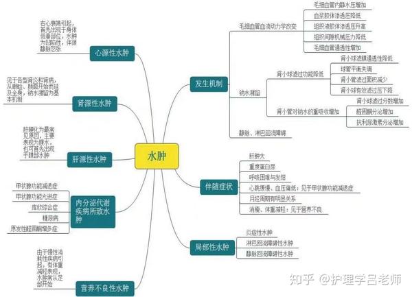 【诊断学思维导图(一)】