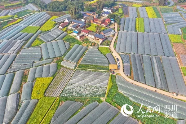 航拍荣县鼎新镇西堰村蔬菜基地