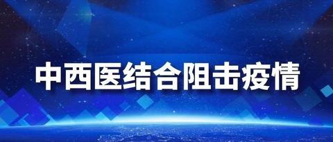 如何评价2月20日国新办发布会上介绍的中西医结合治疗