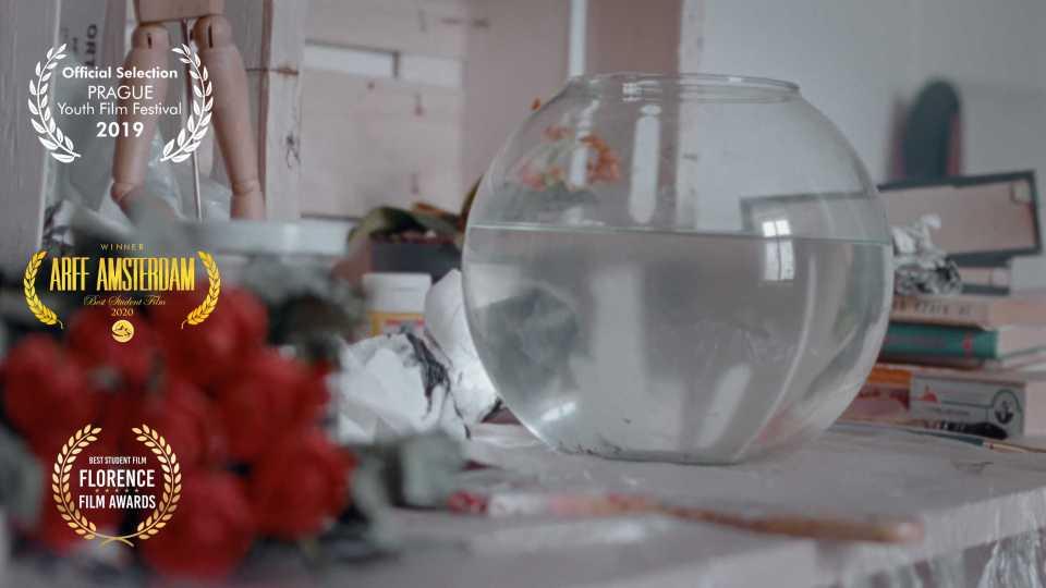fishbowl《鱼缸》 www.xinpianchang.com