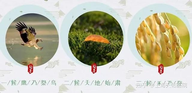 今日处暑丨要跟夏天说再见了养生要按秋天来