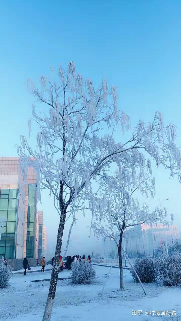 沈阳什么时候下雪你镜头下的雪日沈阳是怎样的